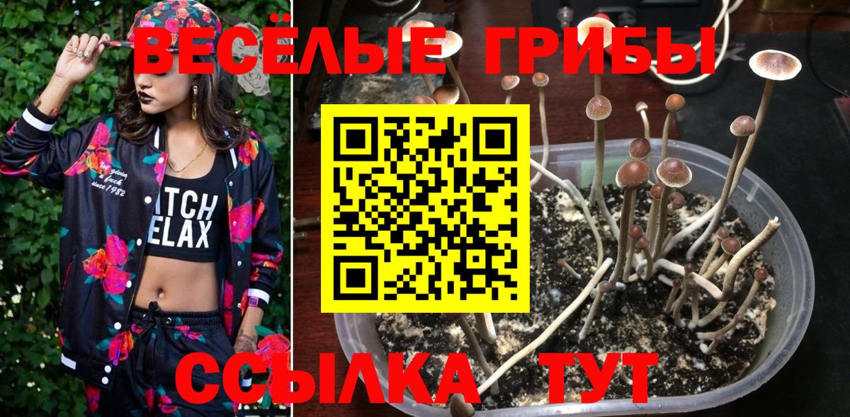 Псилоцибиновые грибы MAGIC MUSHROOMS  Вход с VPN  Ульяновск 